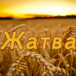Жатва